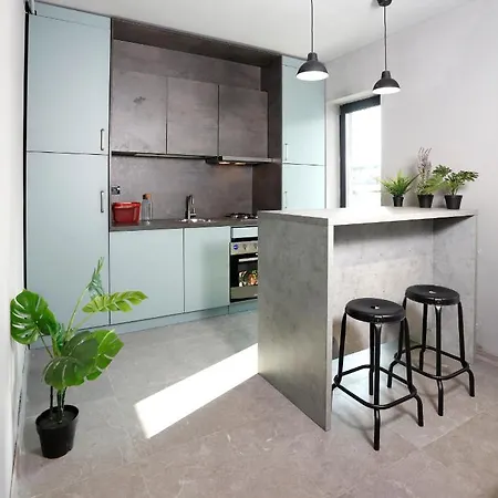 公寓 Lovely Industrial Studio With Netflix 布加勒斯特