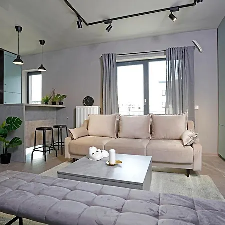 Lovely Industrial Studio With Netflix 布加勒斯特